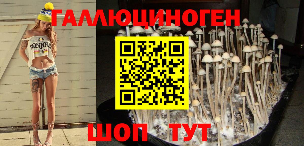 Псилоцибиновые грибы мицелий  Псилоцибиновые грибы Psilocybine cubensis  Нижнеудинск  Вход с VPN 